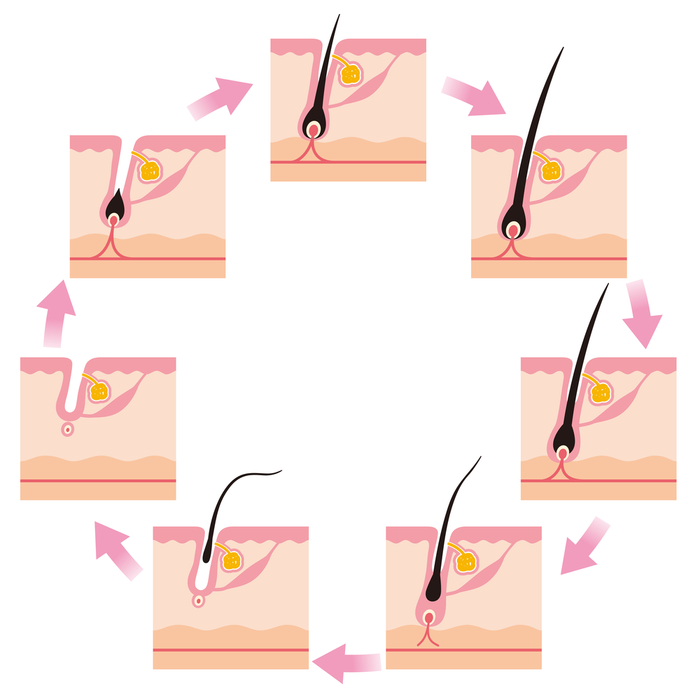 ผมร่วงเกิดจาก