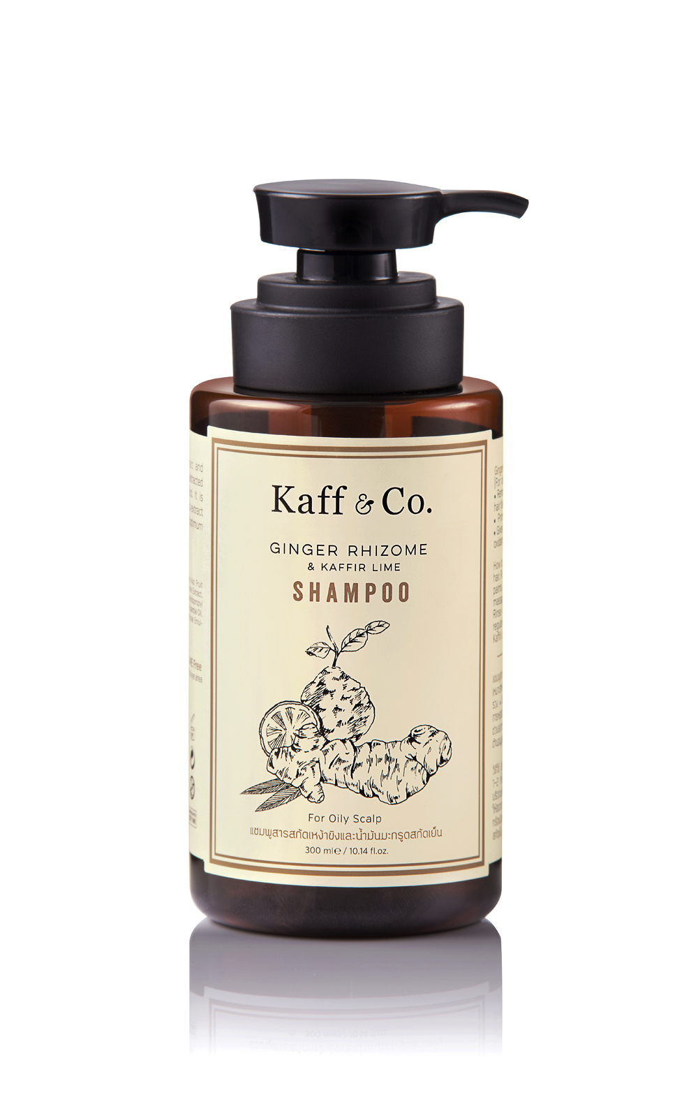 รังแค เกิด จาก pantip