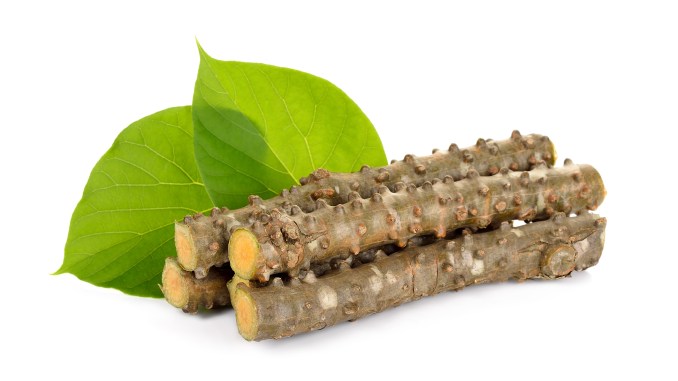 DIYสูตรแก้ผมหงอกจากบอระเพ็ด